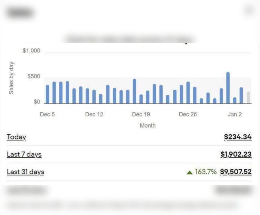eBay US store dashboard showing $9,507 in sales over 31 days