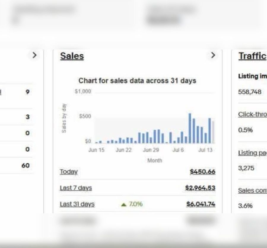 eBay US dashboard with sales chart and traffic statistics
