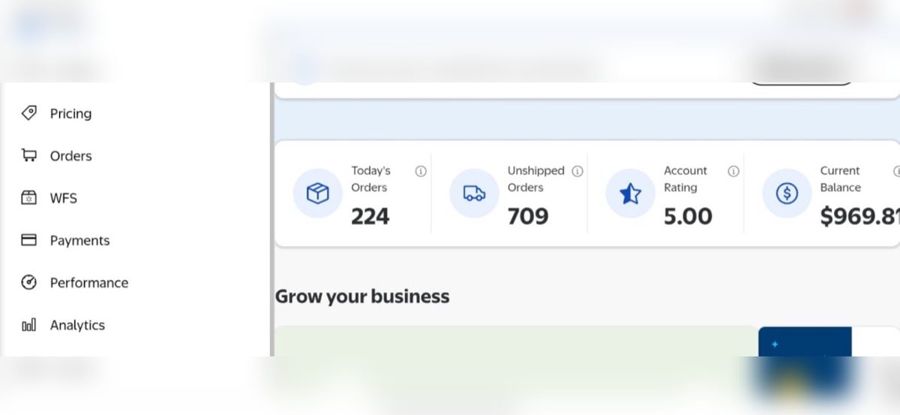 Walmart Seller Center snapshot with 5.00 rating and 224 orders today