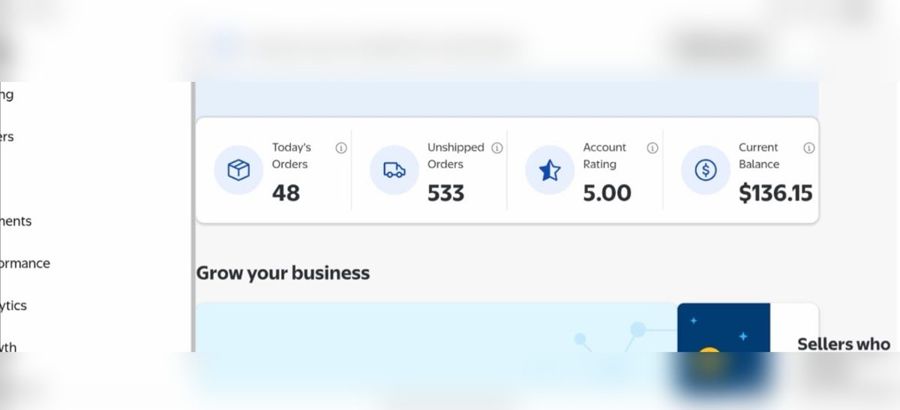 Walmart Seller Center snapshot with 5.00 rating and 48 orders today